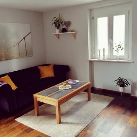 Ferienwohnung Suedschwarzwald Wehr  Eksteriør bilde