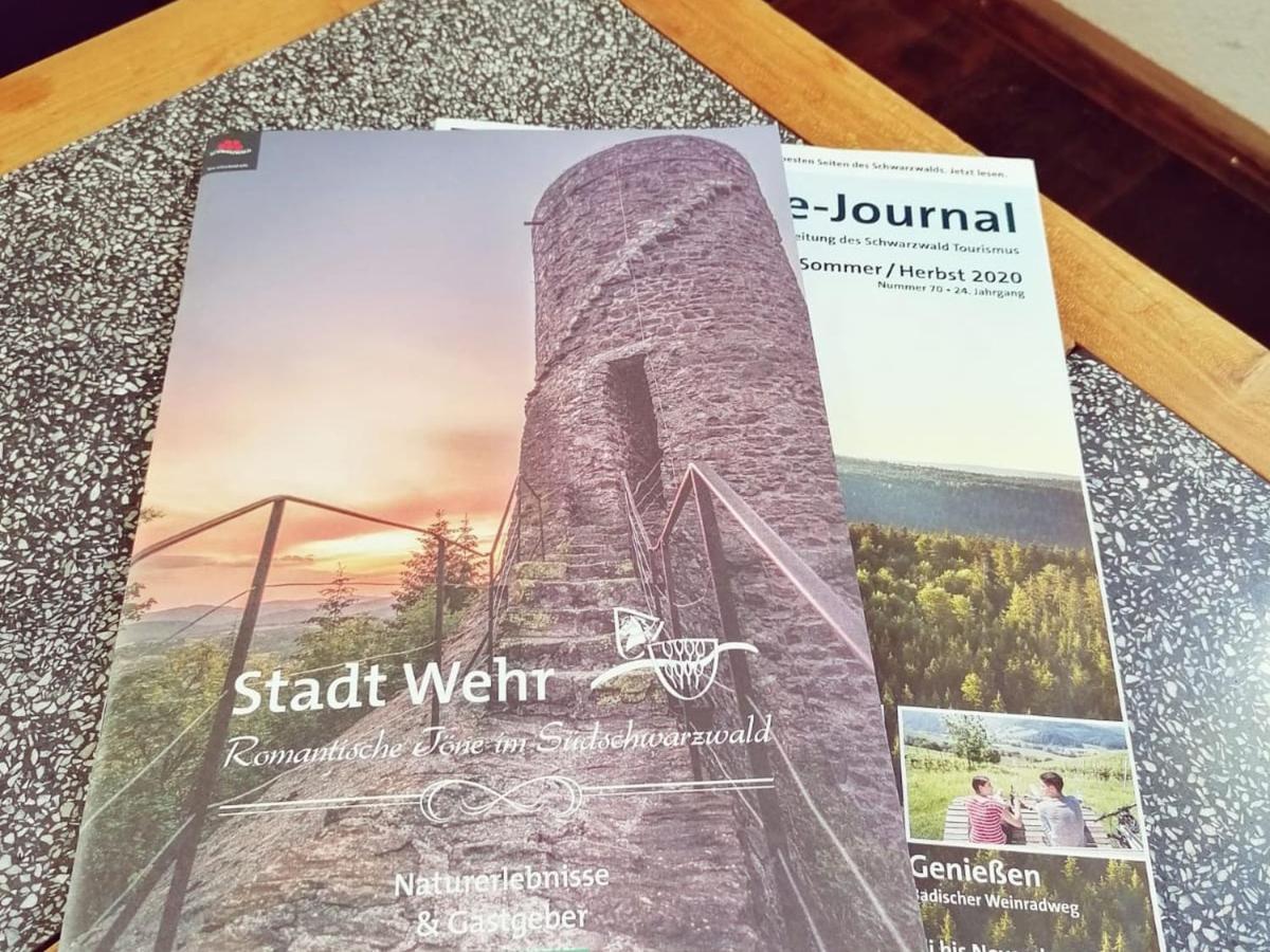 Ferienwohnung Suedschwarzwald Wehr  Eksteriør bilde